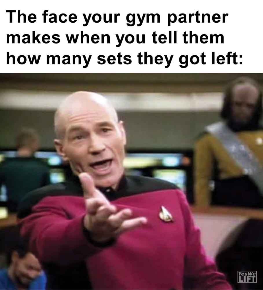 293   The Face Your Gym Partner Makes When You Tell Them How Many Sets They Got Left