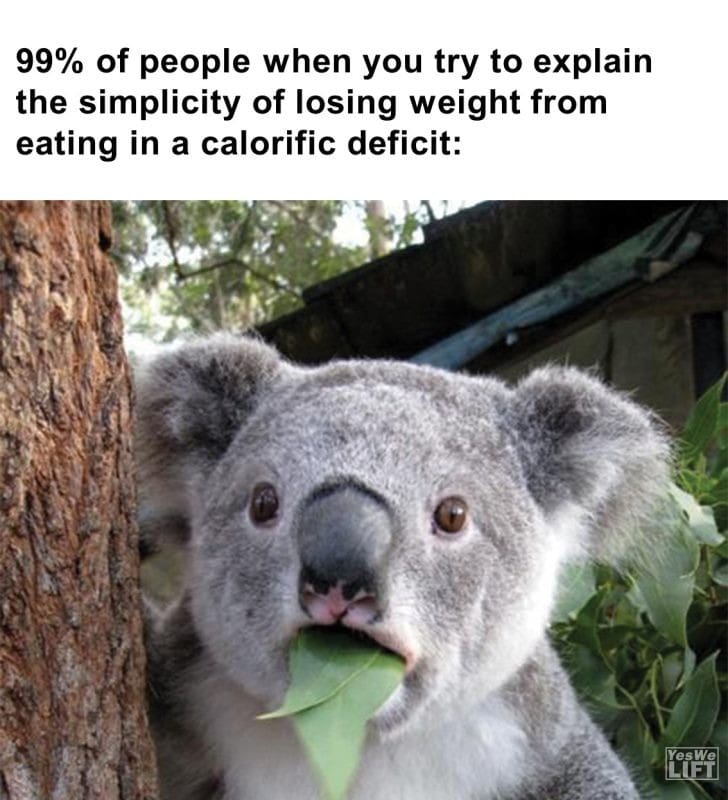 294 - 99 Of People When You Try To Explain The Simplicity Of Losing Weight From Eating In A Calorific Deficit