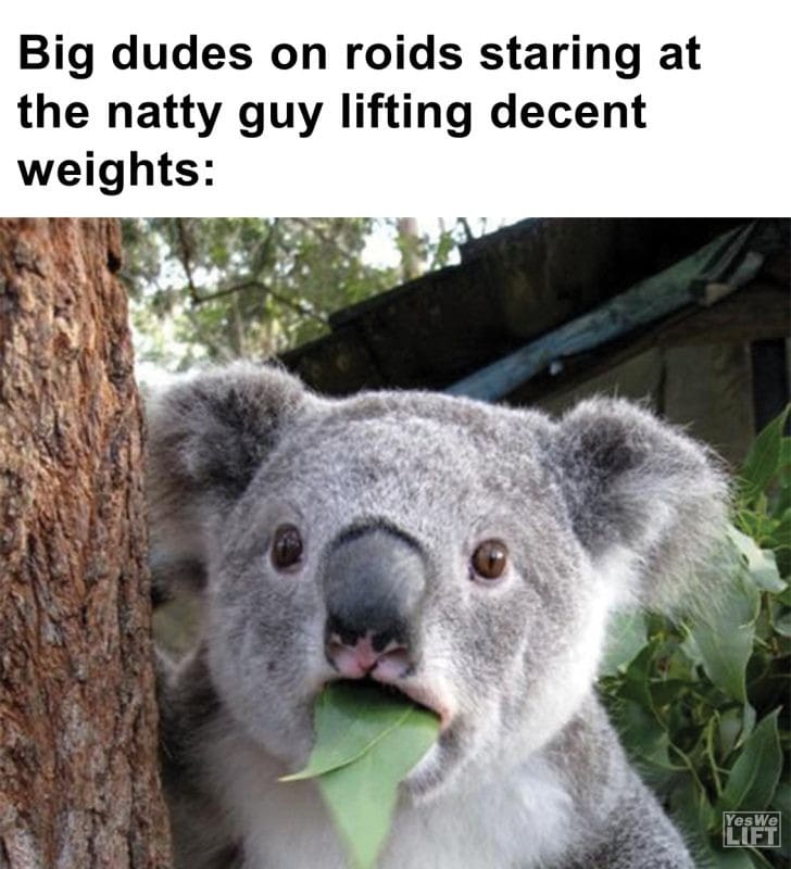 294 - Big Dudes On Roids Staring At The Natty Guy Lifting Decent Weights