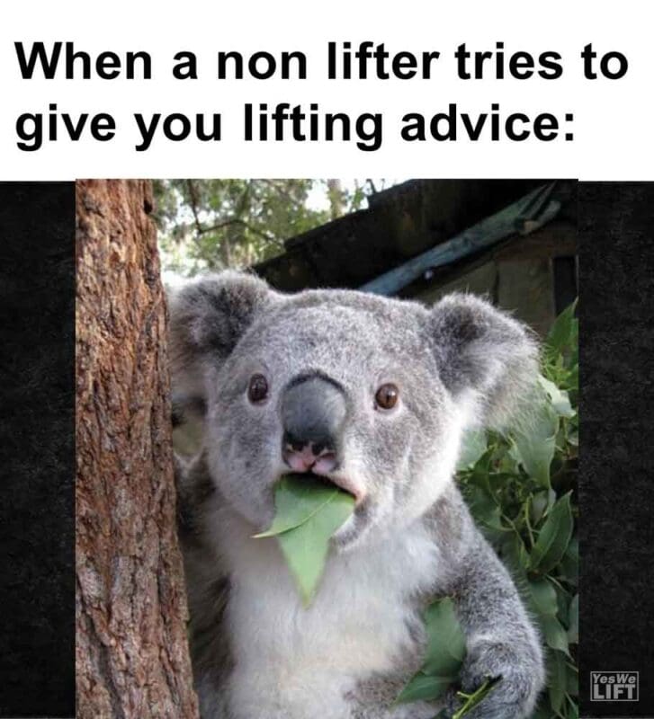 294   When A Non Lifter Tries To Give You Lifting Advice