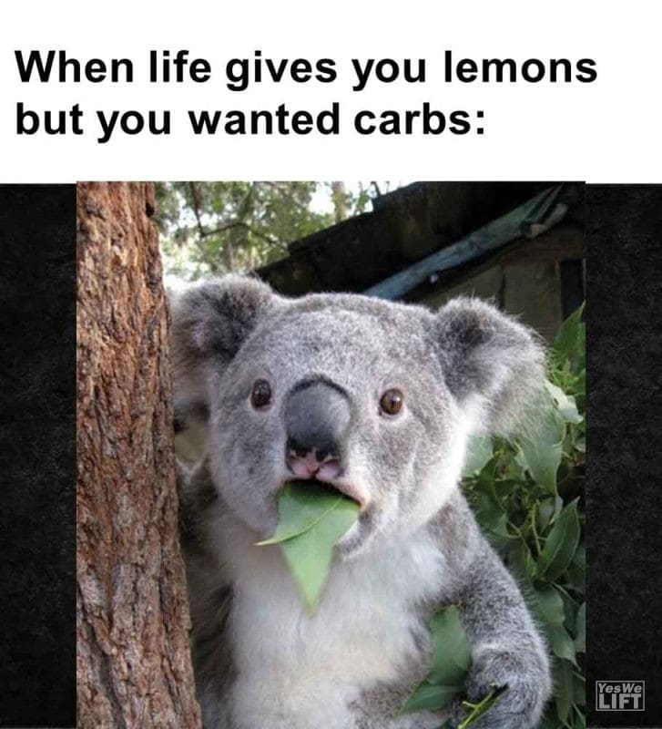 294 - When Life Gives You Lemons But You Wanted Carbs
