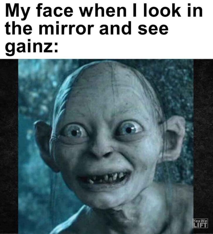 308   My Face When I Look In The Mirror And See Gainz