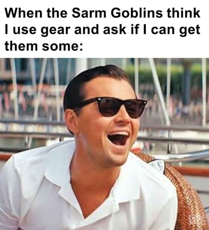 317   When The Sarm Goblins Think I Use Gear And Ask If I Can Get Them Some