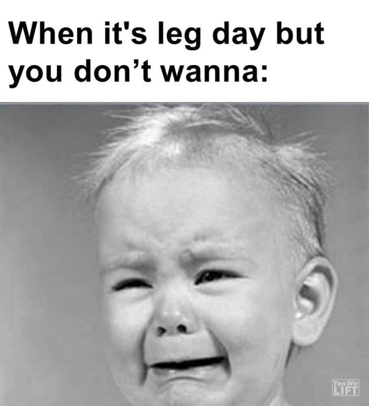 331 - When It's Leg Day But You Dont Wanna