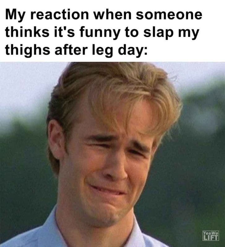 335 - My Reaction When Someone Thinks It's Funny To Slap My Thighs After Leg Day