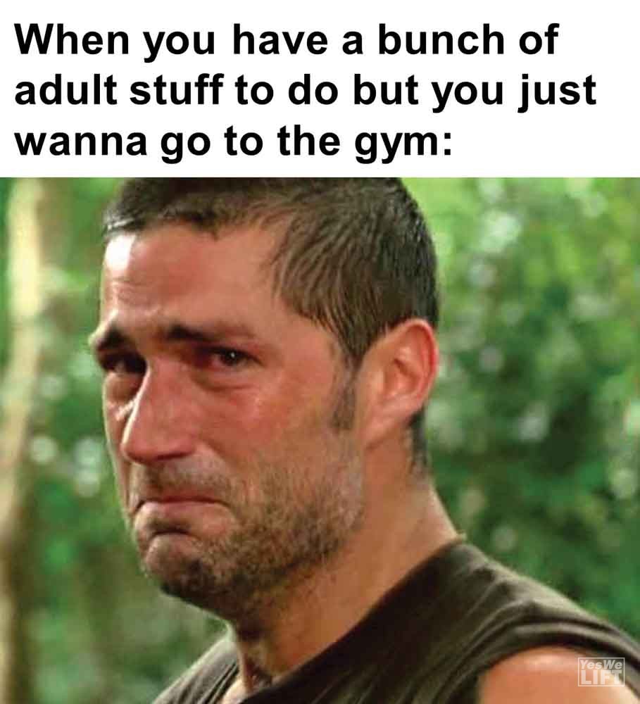 336   When You Have A Bunch Of Adult Stuff To Do But You Just Wanna Go To The Gym