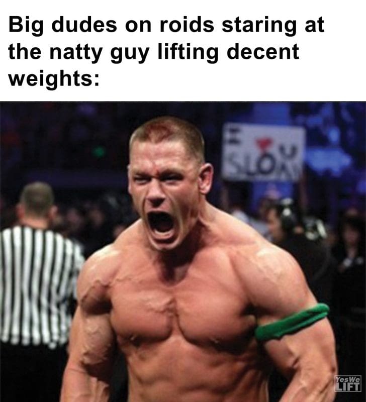 341 - Big Dudes On Roids Staring At The Natty Guy Lifting Decent Weights