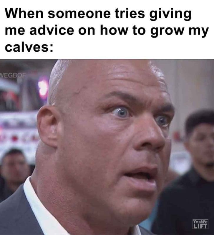 343 - When Someone Tries Giving Me Advice On How To Grow My Calves