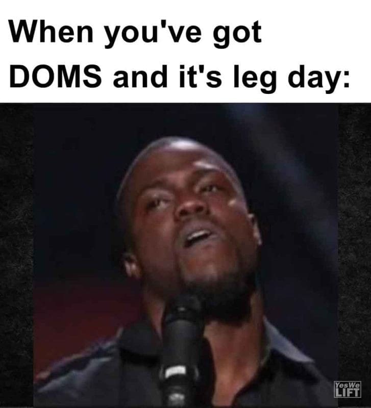 348 - When You've Got Doms And It's Leg Day