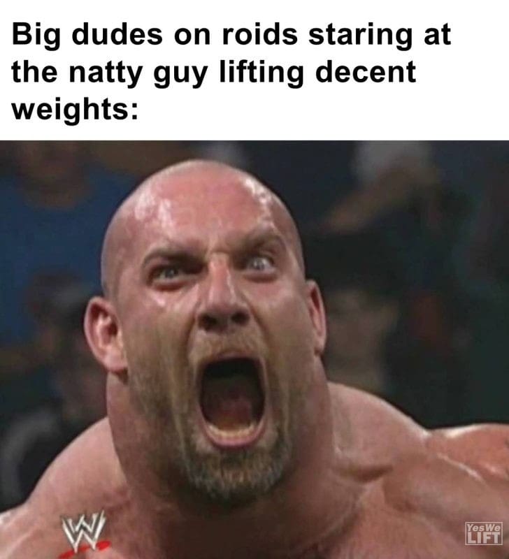 358 - Big Dudes On Roids Staring At The Natty Guy Lifting Decent Weights