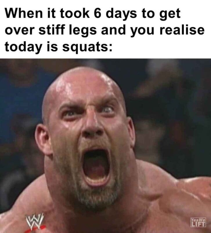 358   When It Took 6 Days To Get Over Stiff Legs And You Realise Today Is Squats