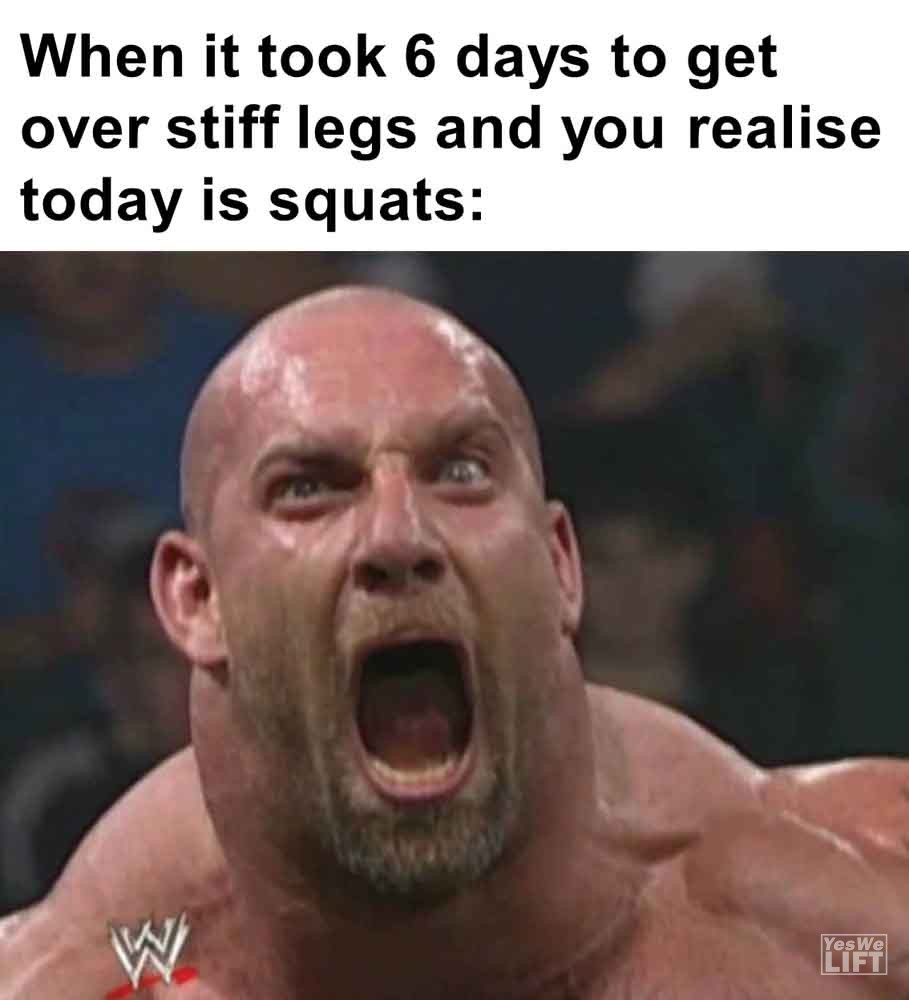 358 - When It Took 6 Days To Get Over Stiff Legs And You Realise Today Is Squats