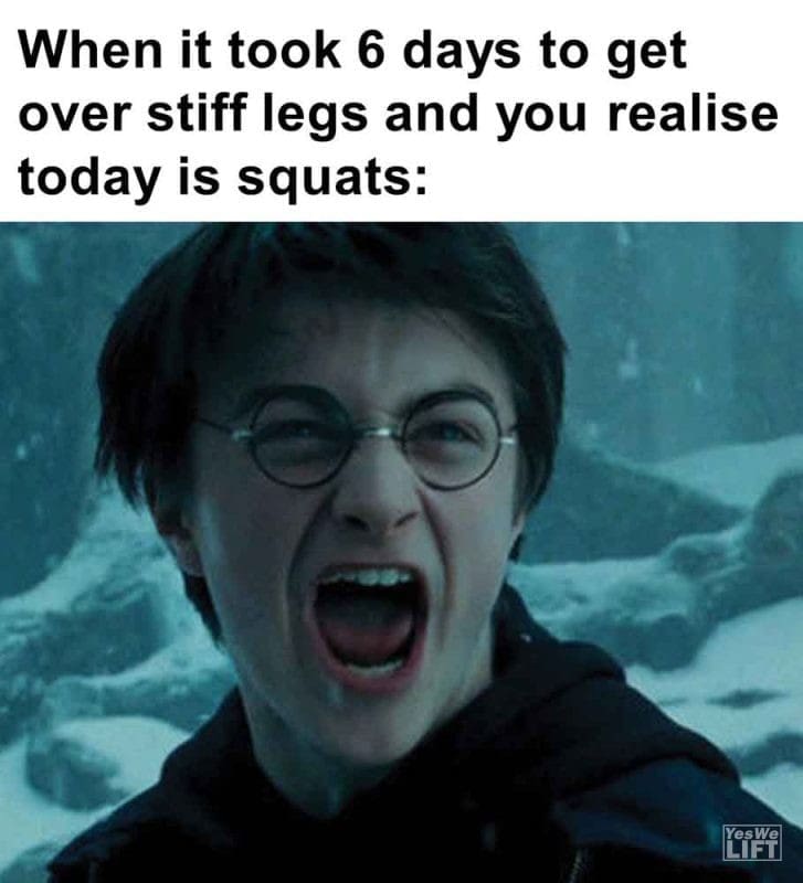 359 - When It Took 6 Days To Get Over Stiff Legs And You Realise Today Is Squats