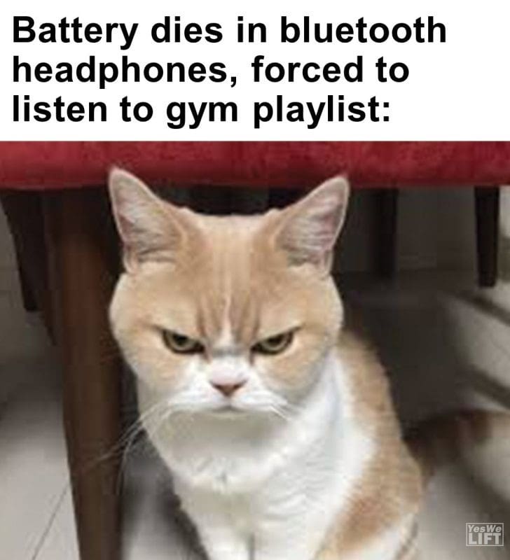 390 - Battery Dies In Bluetooth Headphones, Forced To Listen To Gym Playlist