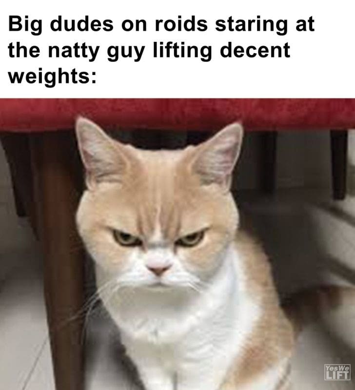 390 - Big Dudes On Roids Staring At The Natty Guy Lifting Decent Weights