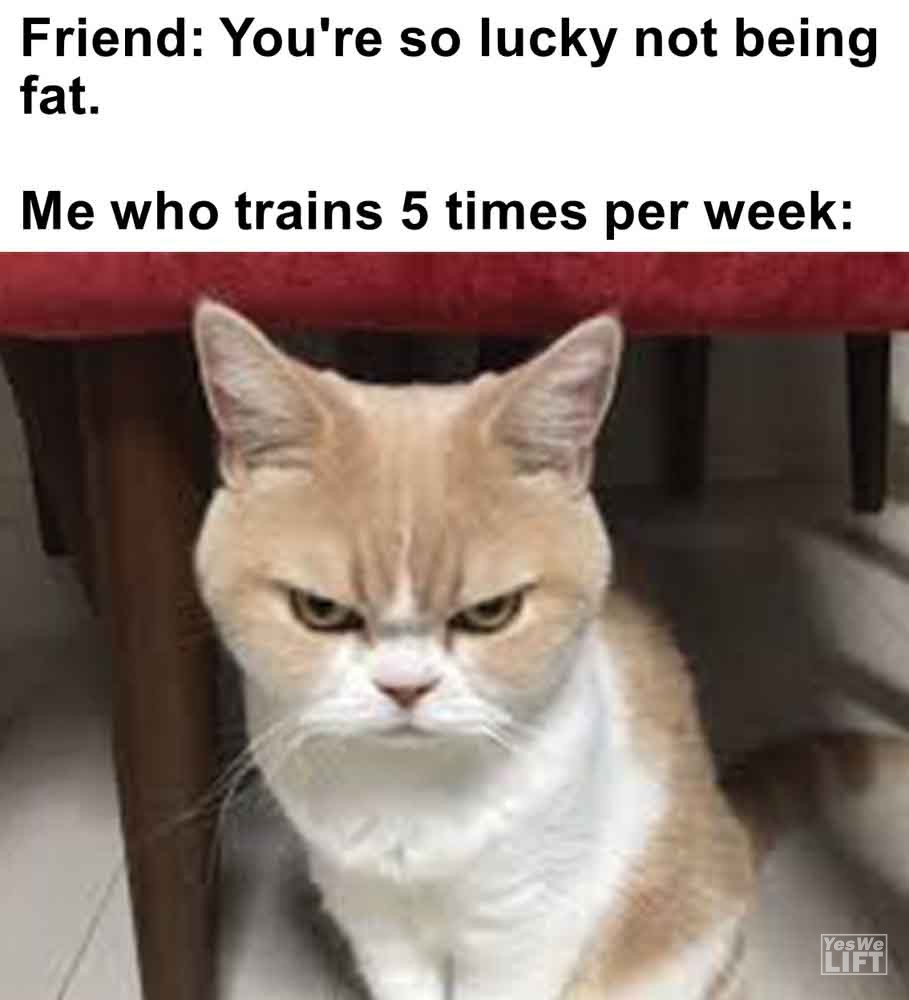 390 - Friend You're So Lucky Not Being Fat. Me Who Trains 5 Times Per Week