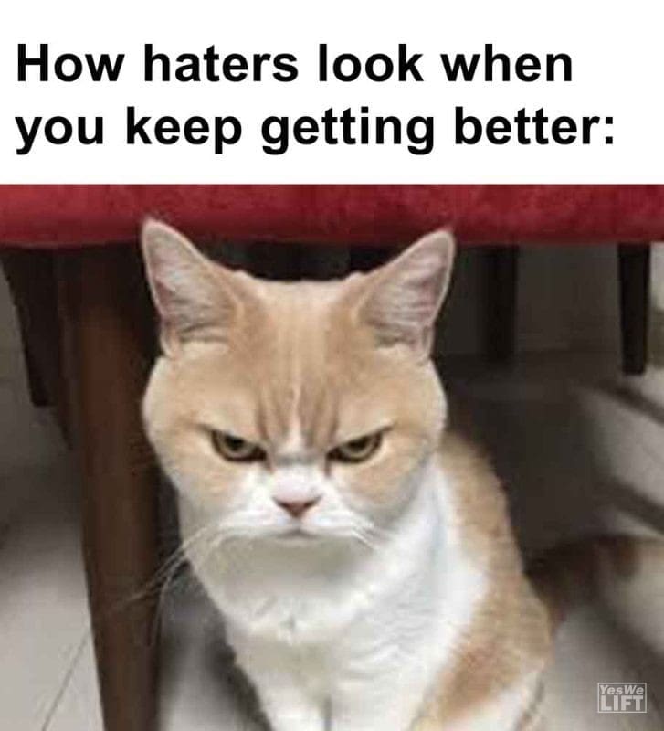 390 - How Haters Look When You Keep Getting Better
