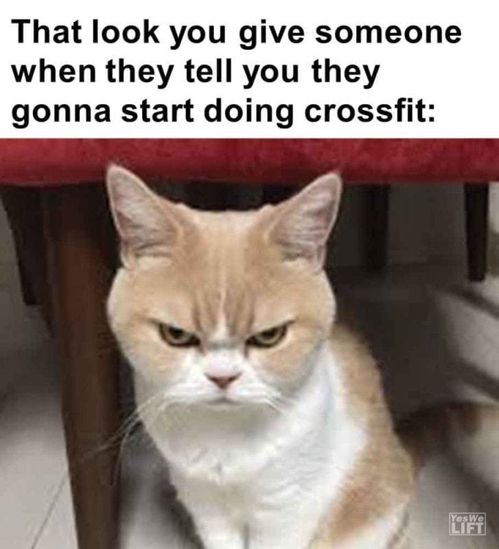 390 - That Look You Give Someone When They Tell You They Gonna Start Doing Crossfit