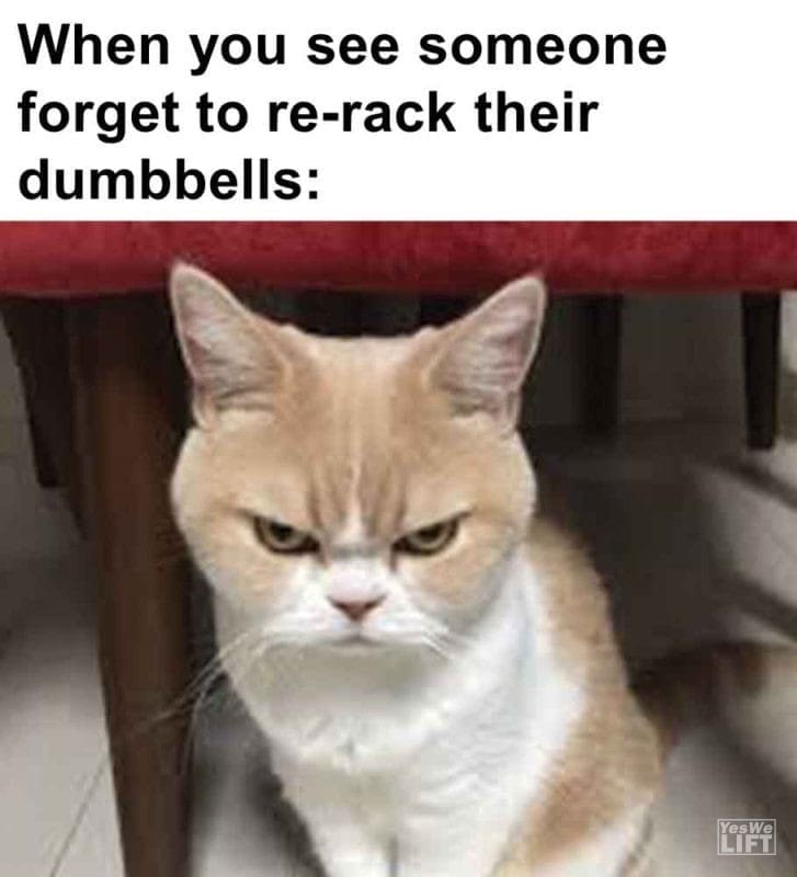 390 - When You See Someone Forget To Rerack Their Dumbbells