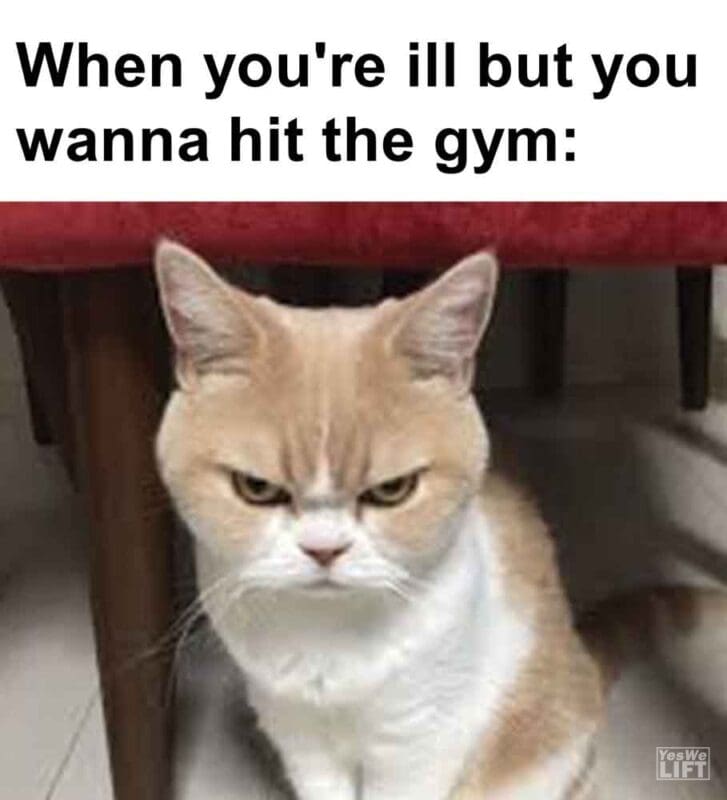 390   When You're Ill But You Wanna Hit The Gym