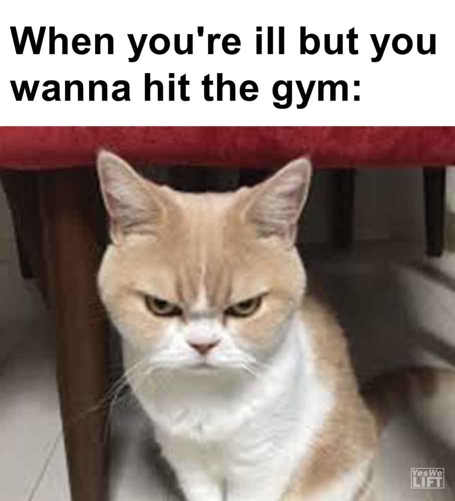 390   When You're Ill But You Wanna Hit The Gym