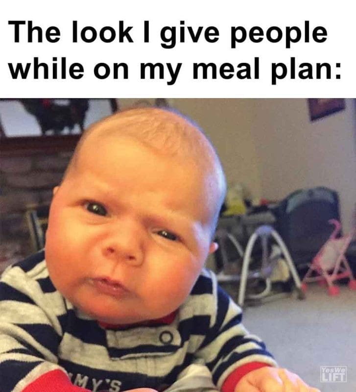 391 - The Look I Give People While On My Meal Plan