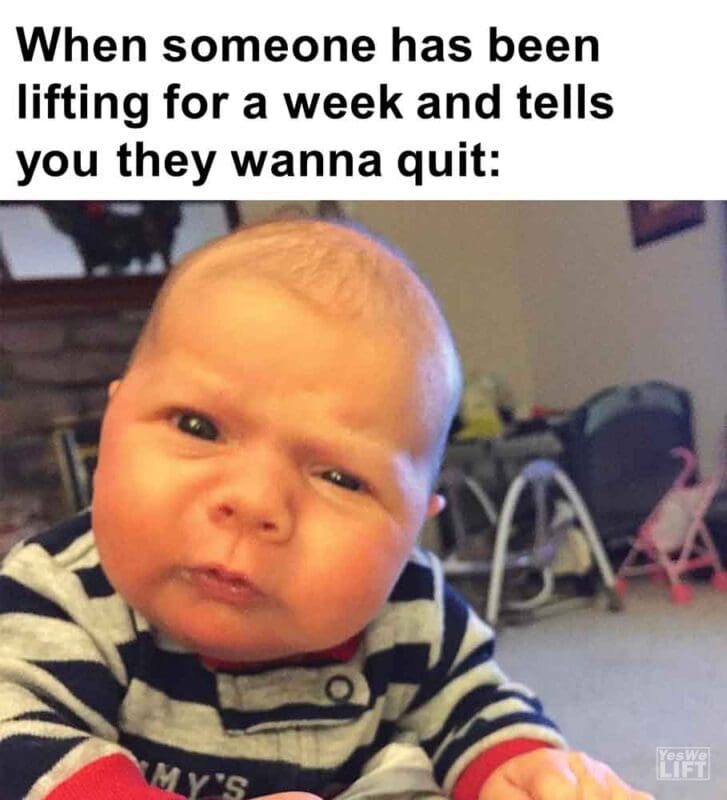 391   When Someone Has Been Lifting For A Week And Tells You They Wanna Quit