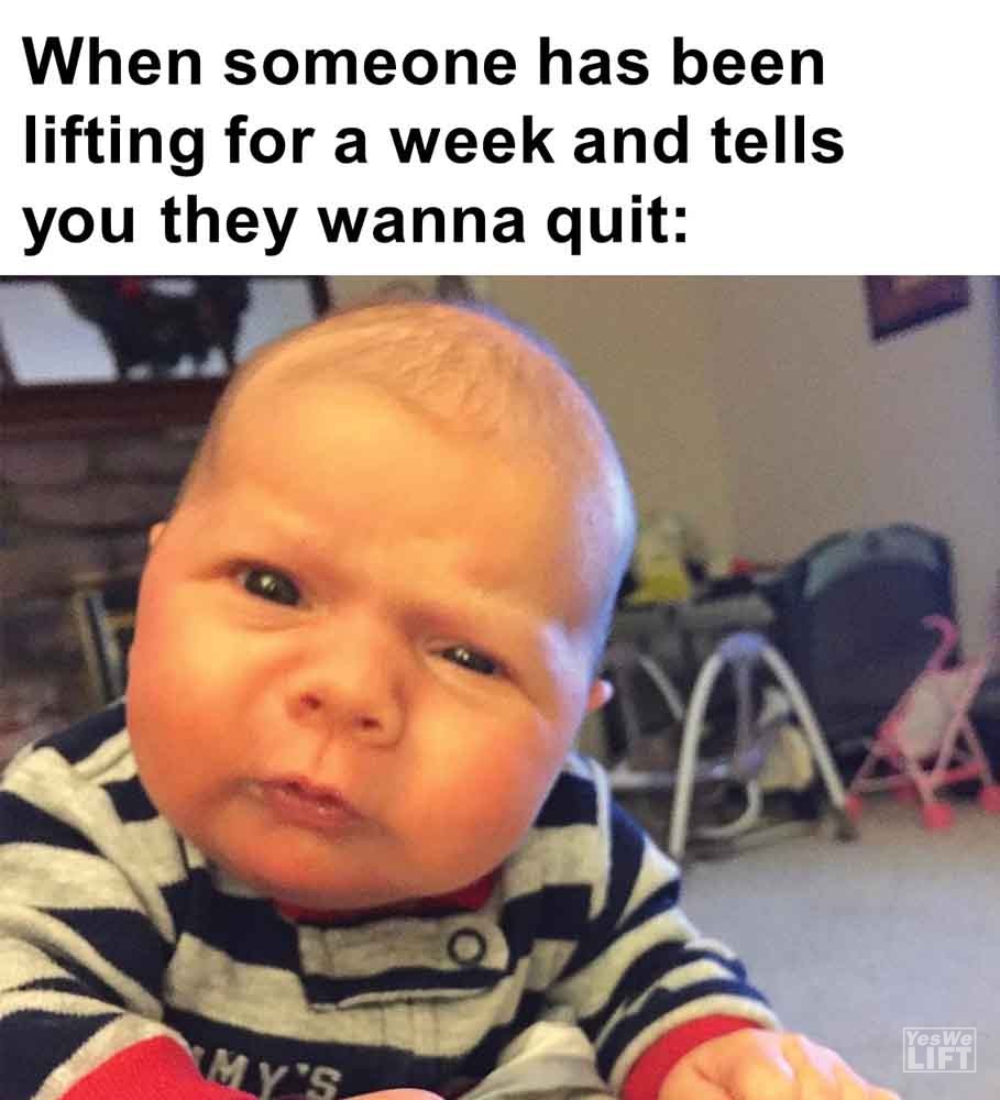 391 - When Someone Has Been Lifting For A Week And Tells You They Wanna Quit