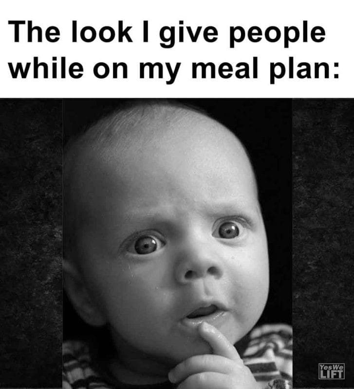 416 - The Look I Give People While On My Meal Plan