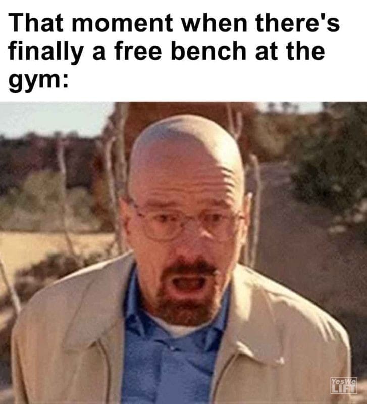 418 - That Moment When There's Finally A Free Bench At The Gym