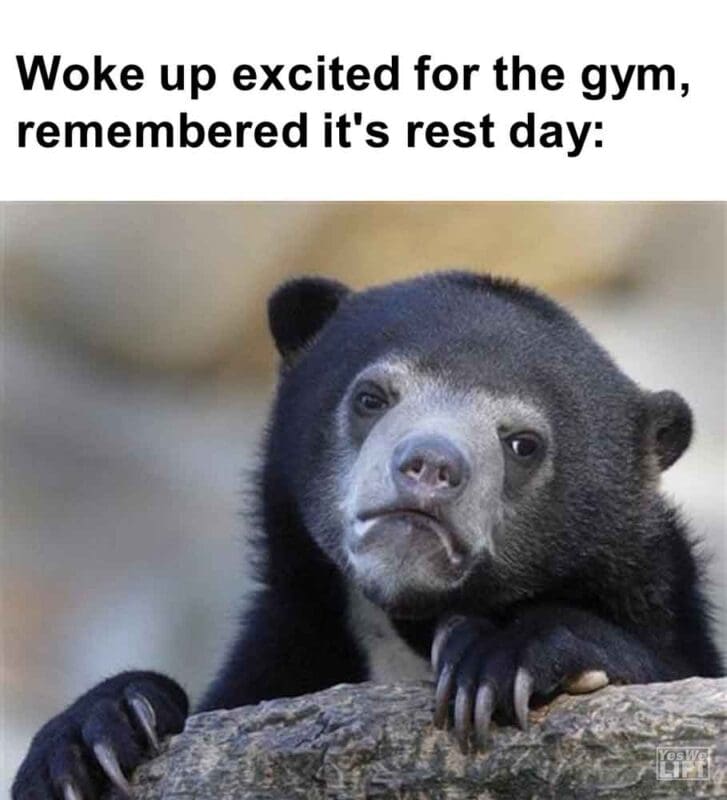 421   Woke Up Excited For The Gym, Remembered It's Rest Day