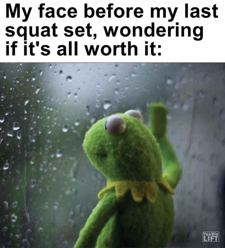 422 - My Face Before My Last Squat Set, Wondering If It's All Worth It