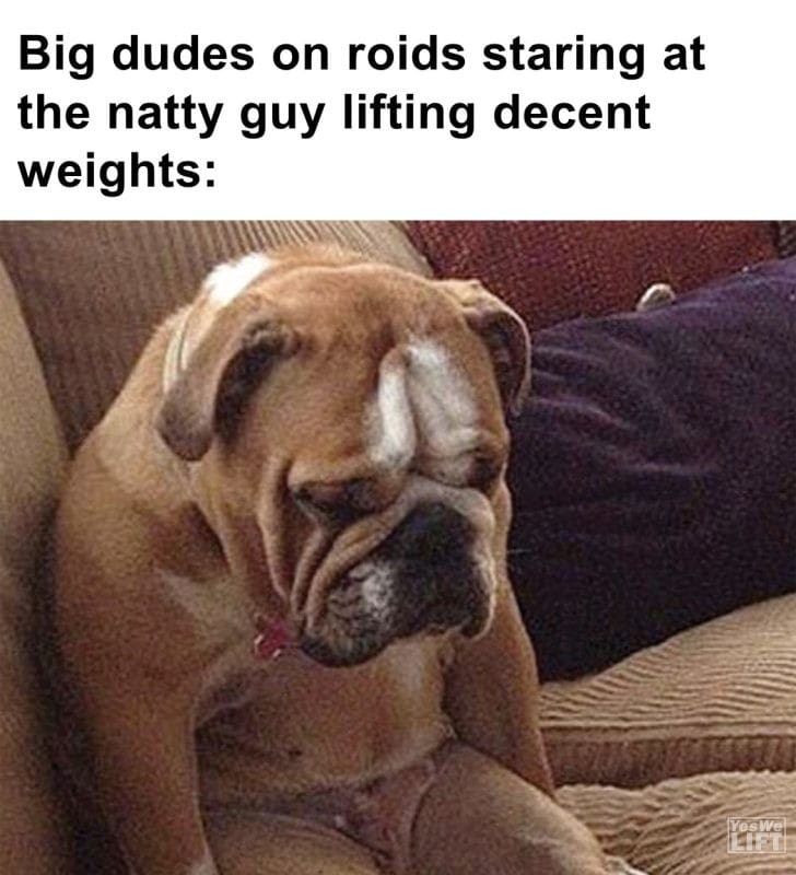 425 - Big Dudes On Roids Staring At The Natty Guy Lifting Decent Weights