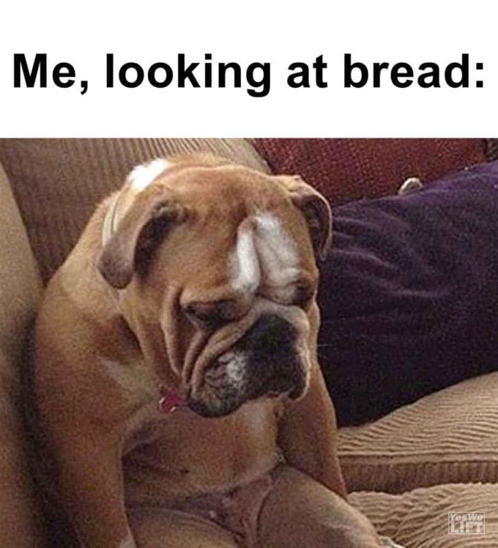 425 - Me, Looking At Bread