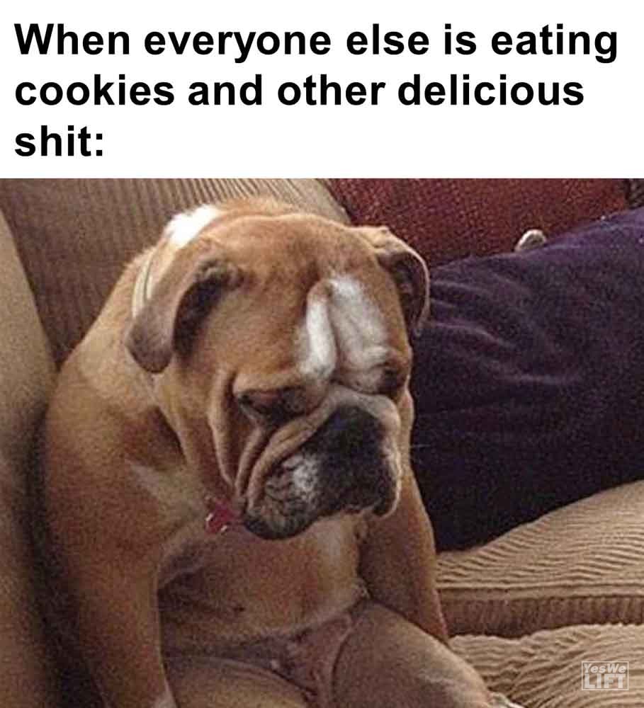 425   When Everyone Else Is Eating Cookies And Other Delicious Shit