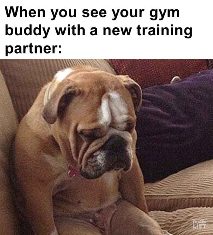 425 - When You See Your Gym Buddy With A New Training Partner