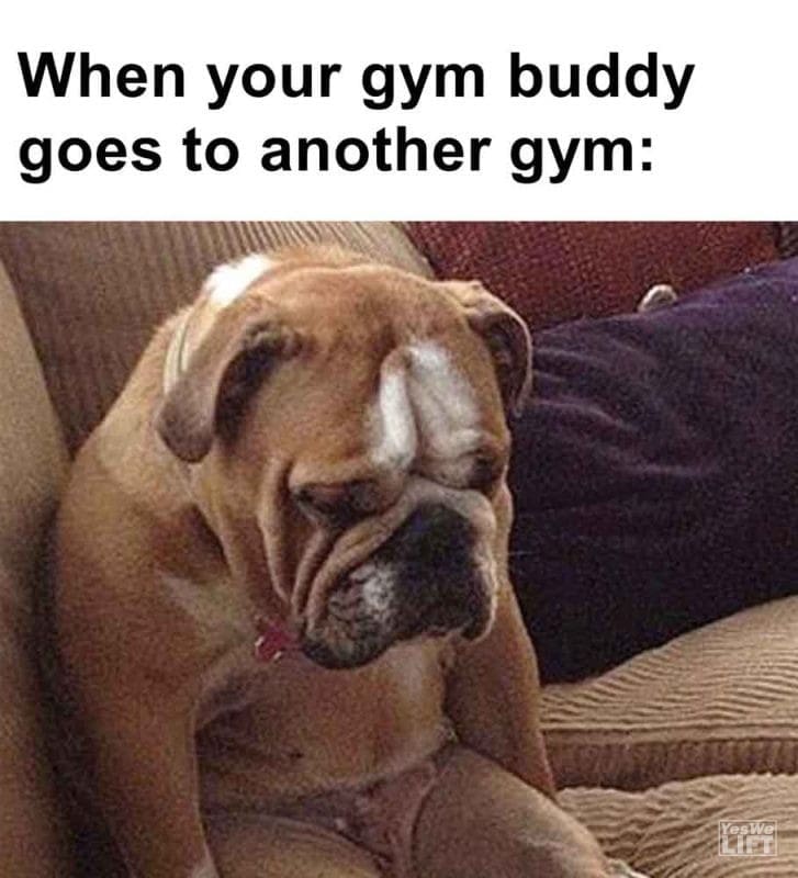 425 - When Your Gym Buddy Goes To Another Gym