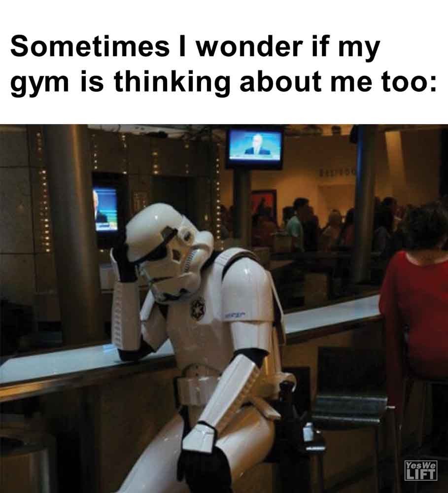 428   Sometimes I Wonder If My Gym Is Thinking About Me Too