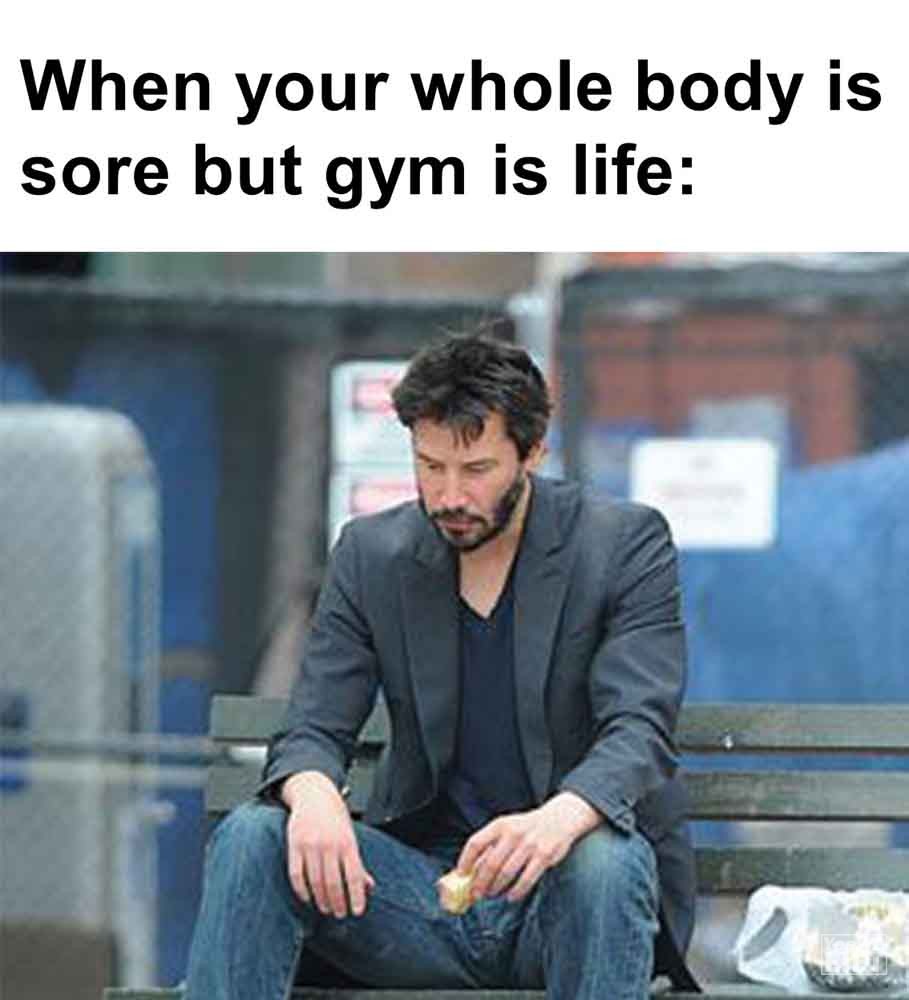 430 - When Your Whole Body Is Sore But Gym Is Life