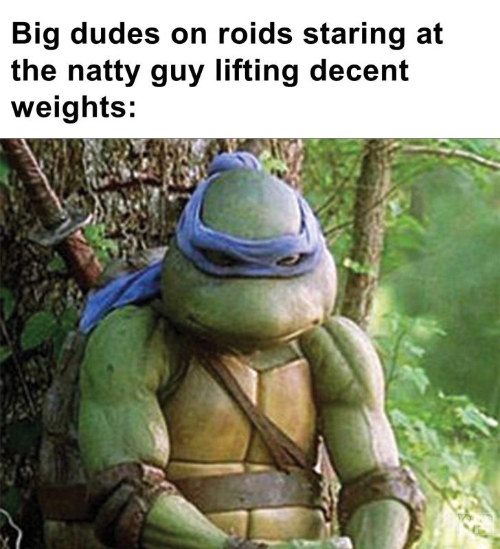 435 - Big Dudes On Roids Staring At The Natty Guy Lifting Decent Weights