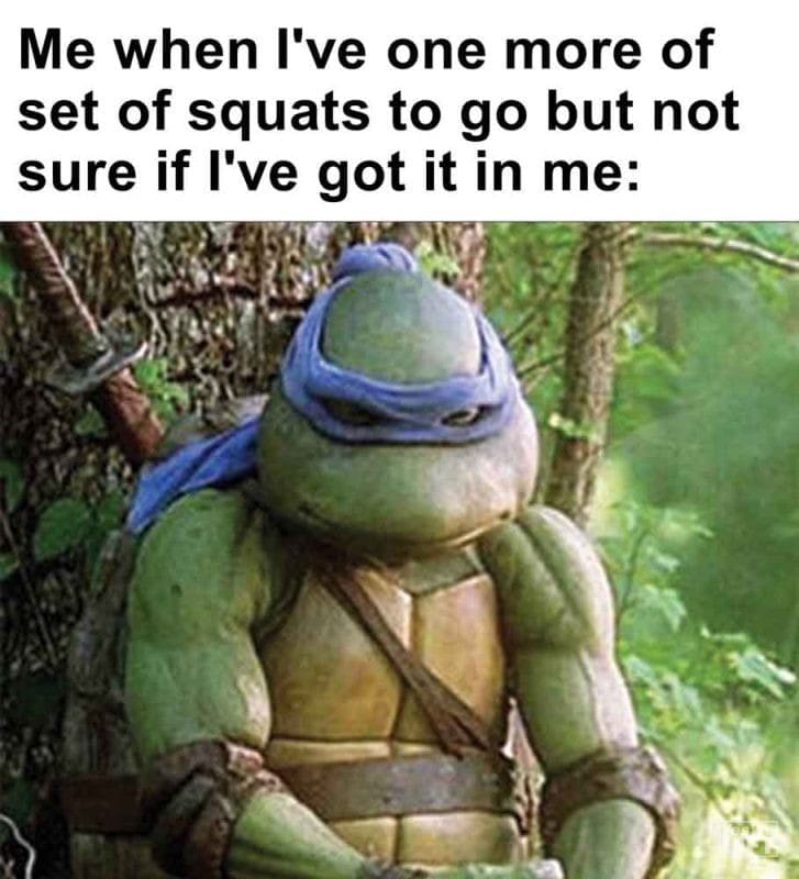 435 - Me When I've One More Of Set Of Squats To Go But Not Sure If I've Got It In Me