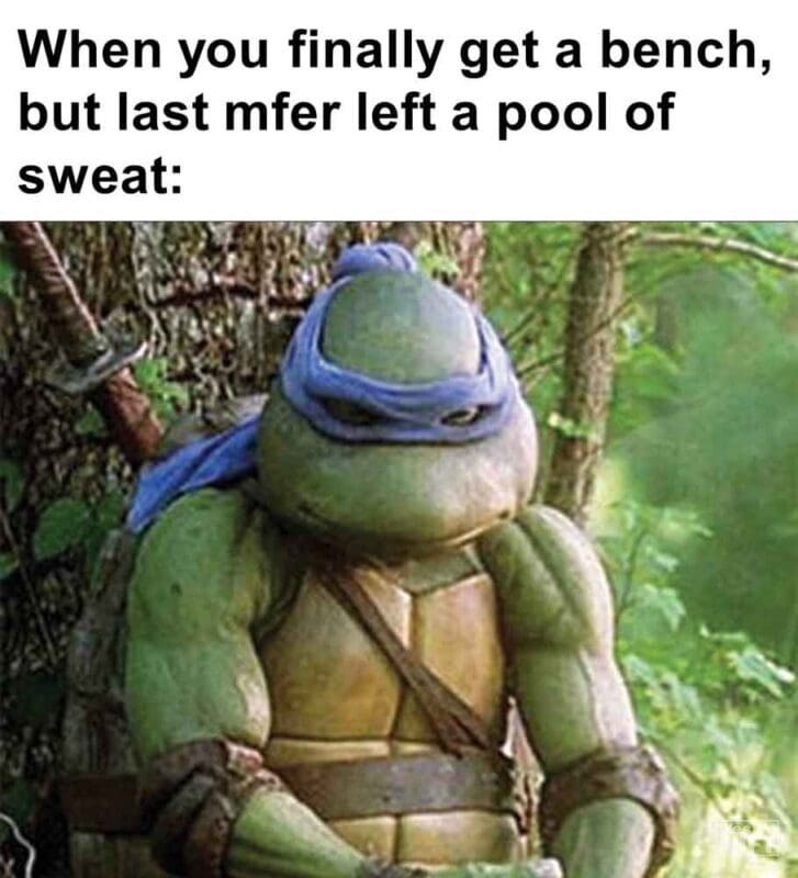 435   When You Finally Get A Bench, But Last Mfer Left A Pool Of Sweat