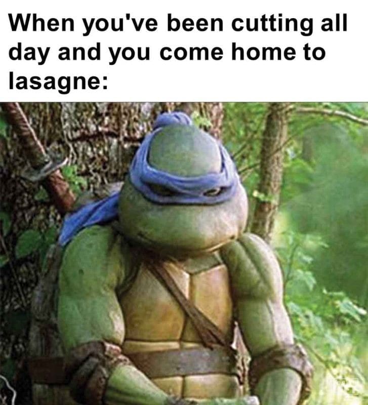 435 - When You've Been Cutting All Day And You Come Home To Lasagne