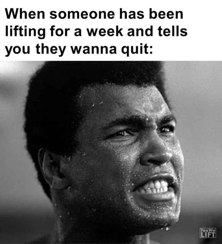 441 - When Someone Has Been Lifting For A Week And Tells You They Wanna Quit