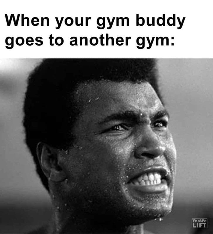 441 - When Your Gym Buddy Goes To Another Gym