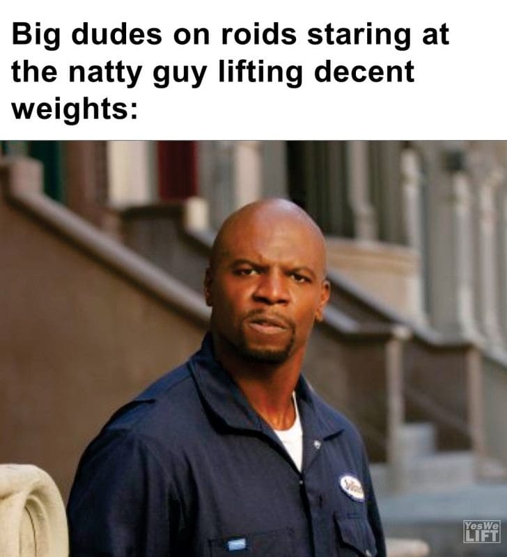 442 - Big Dudes On Roids Staring At The Natty Guy Lifting Decent Weights