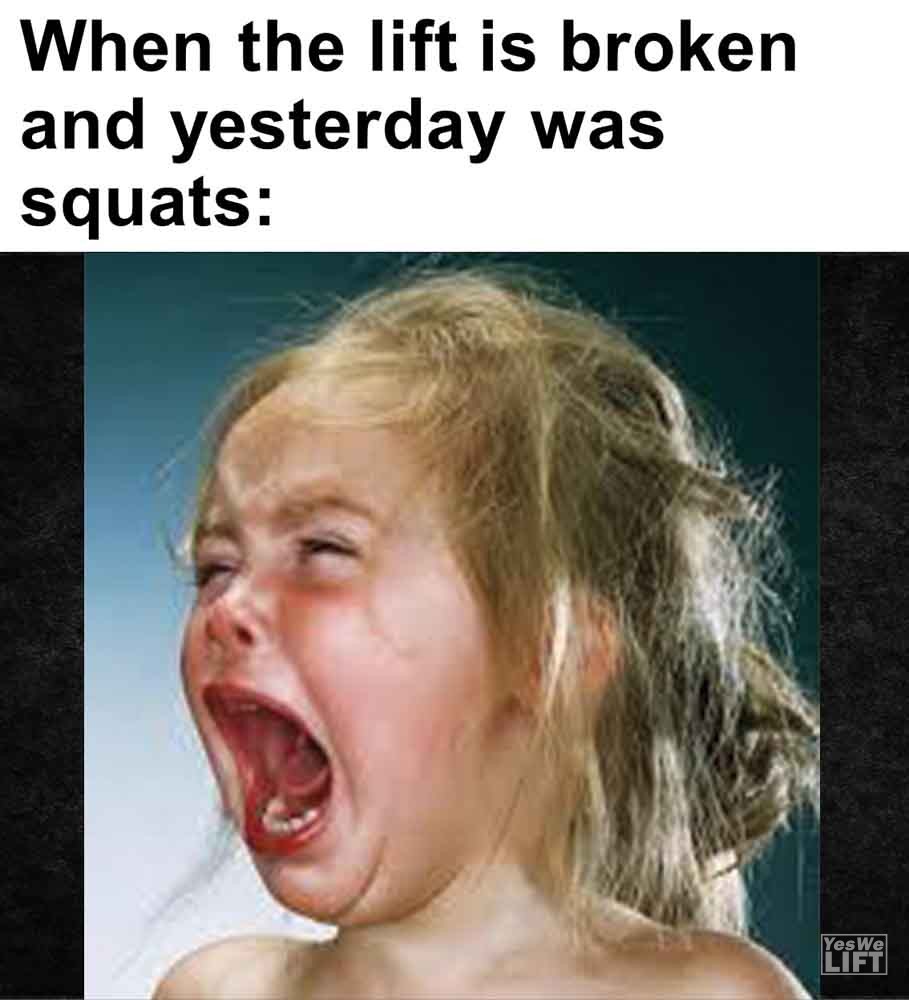 447 When The Lift Is Broken And Yesterday Was Squats