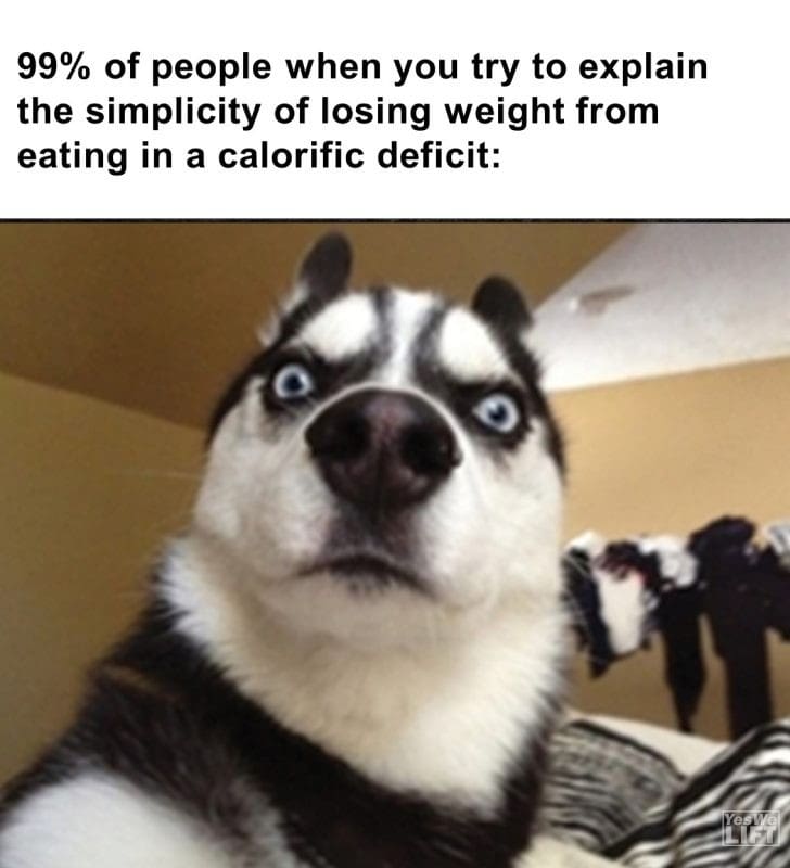 453 - 99 Of People When You Try To Explain The Simplicity Of Losing Weight From Eating In A Calorific Deficit