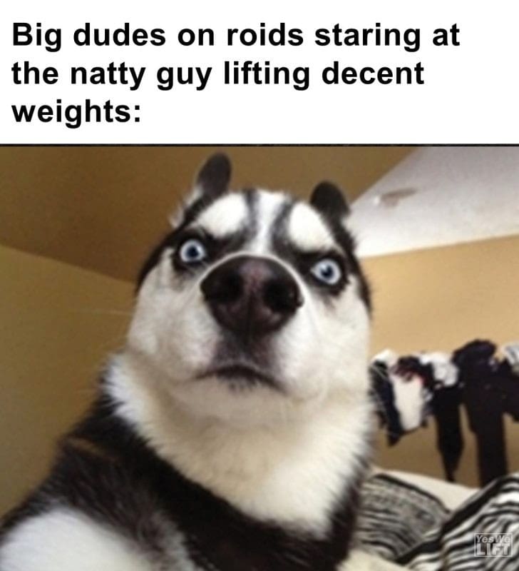 453 - Big Dudes On Roids Staring At The Natty Guy Lifting Decent Weights
