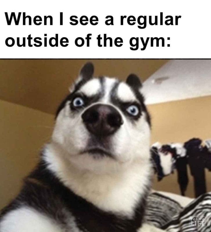 453 - When I See A Regular Outside Of The Gym